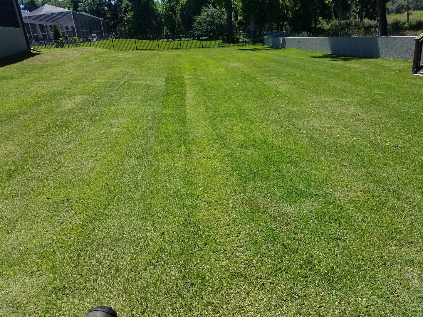 Lawn